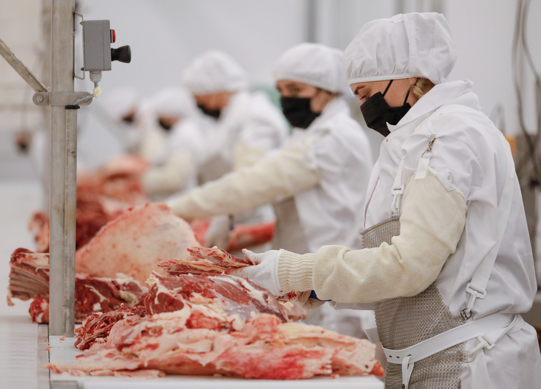 Переработка продуктов убоя. Мясная промышленность. Мясоперерабатывающая промышленность. Предприятия мясной промышленности.
